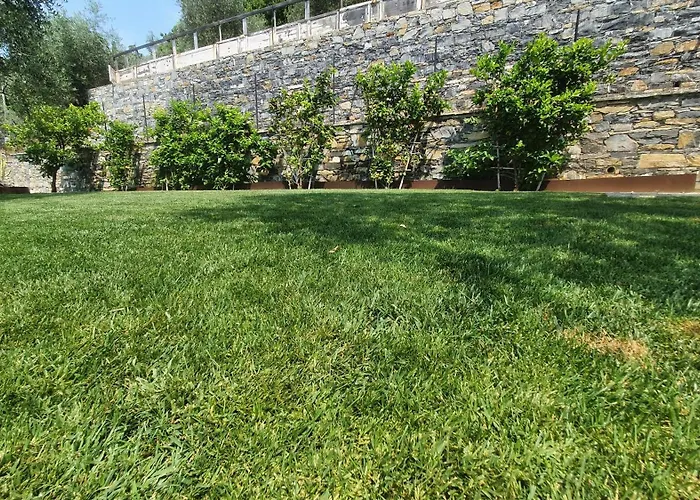 Oda ve Kahvaltı Da Higgins